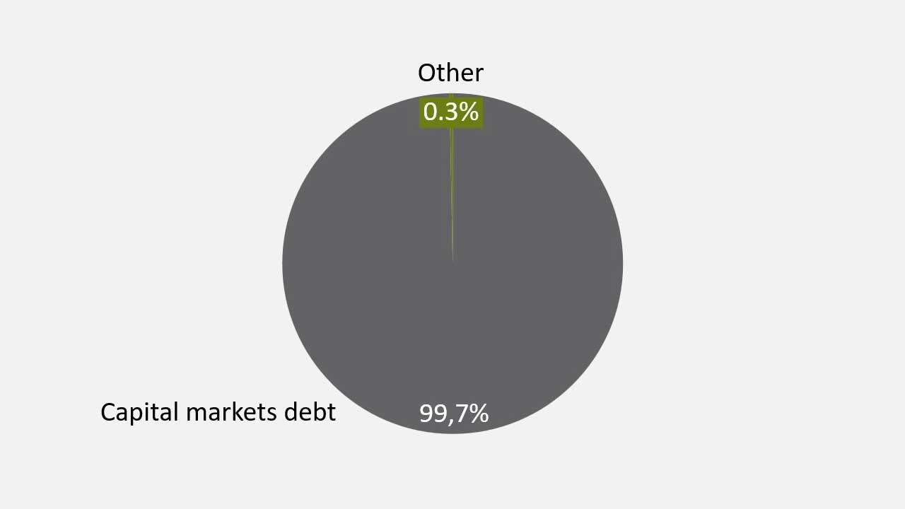 Debt structure (at Sep 30, 2024)