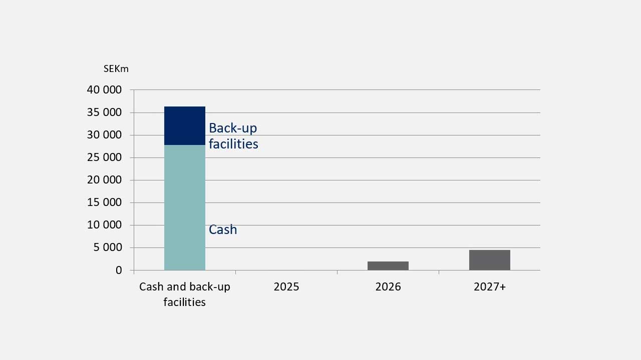 Debt maturity (at the end of Q4 2024)